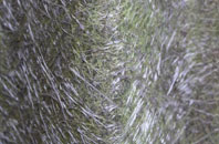 East Bloxworth fibreglass roof work